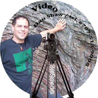 Dan Shaw video and film
